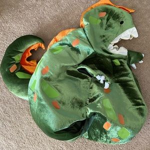 Infant Dinosaur baby costume